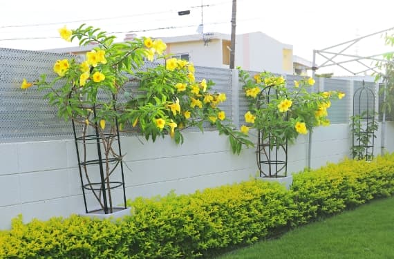 フェンス+門柱・塀の一体施工