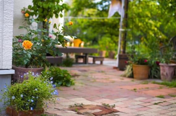 花壇スペースの造成