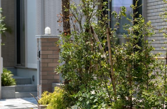 植栽(高木・中木・低木)