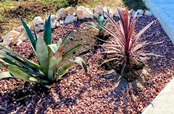 ロックガーデン施工