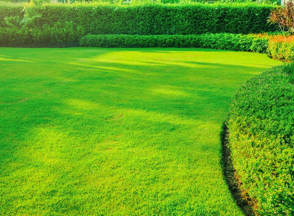 用途やお手入れのしやすさに応じて最適な芝をご提案