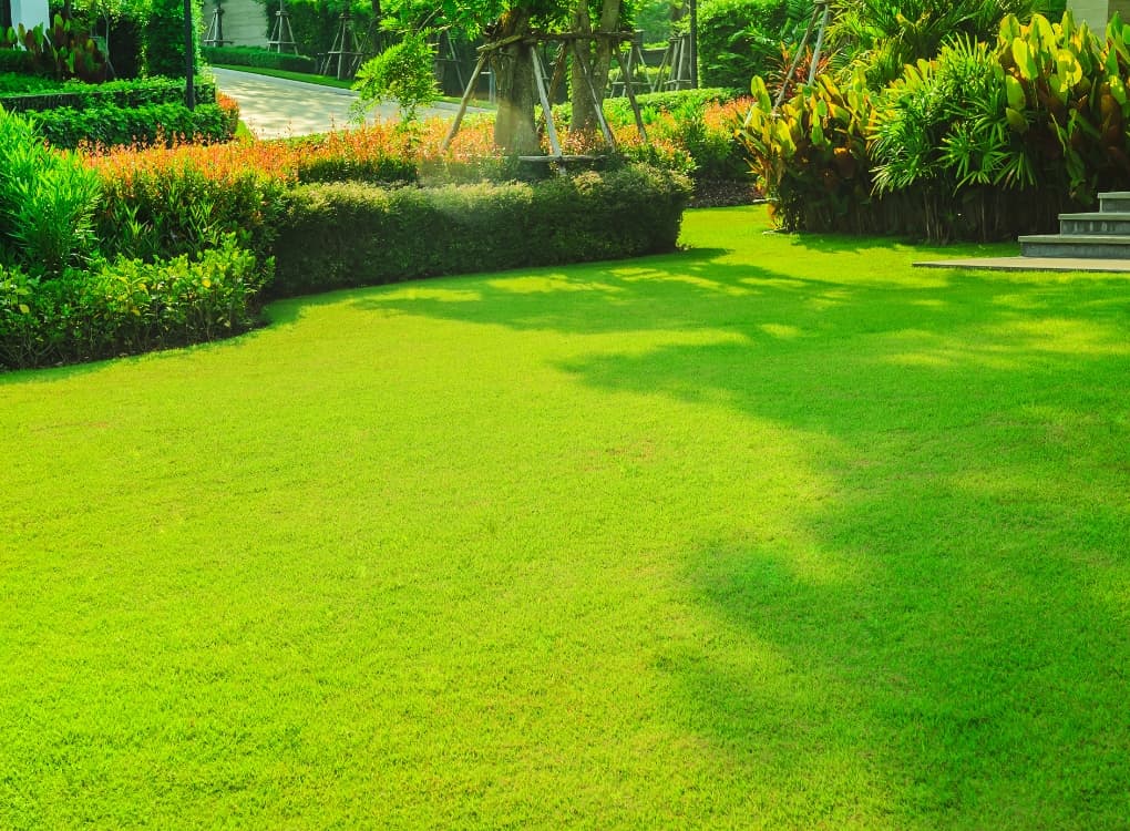 プロの施工で美しく長持ちする芝生空間を実現