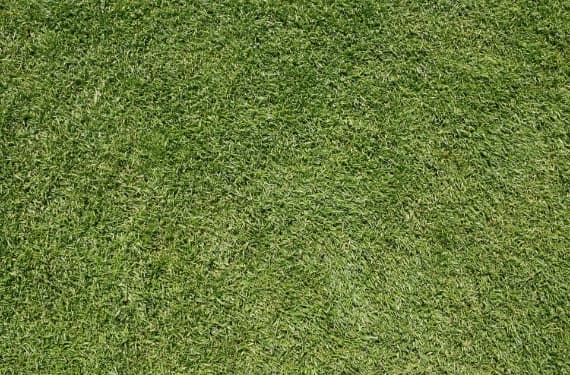 天然芝の新規施工