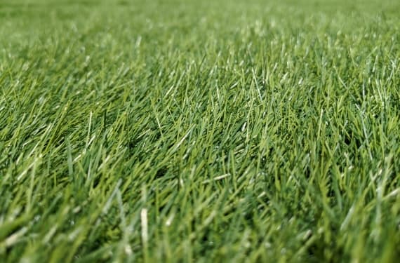 人工芝のメンテナンス