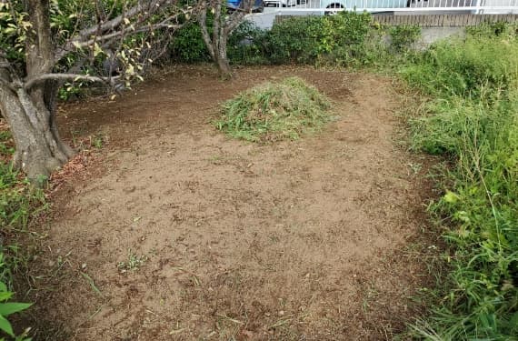 雑草除去・整地作業